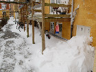 DSC_0016.jpg