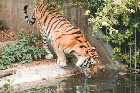 DSC_1175.jpg