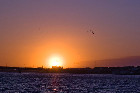 DSC_1096.jpg
