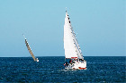 DSC_0991.jpg