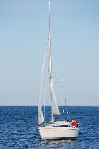 DSC_1001.jpg